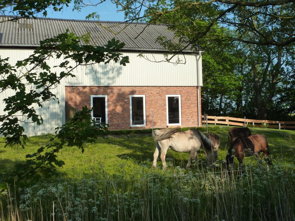 Ferienwohnung Landtraum Кланксбюл Екстериор снимка